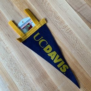 College Pennant UC DAVIS (University California Davis) Small 9 x 4 Inch Felt